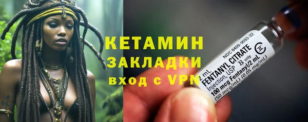 прущие грибы Богородицк