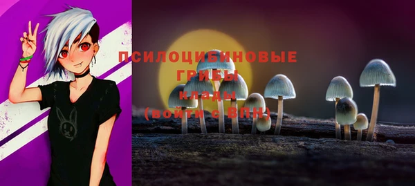 прущие грибы Богородицк