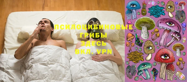 прущие грибы Богородицк
