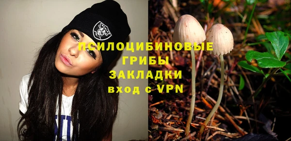 прущие грибы Богородицк
