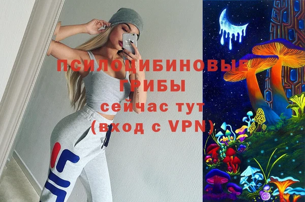прущие грибы Богородицк